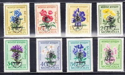 A12 S5 7 - Timbre foarte vechi - Mongolia - flori - supratipar foto