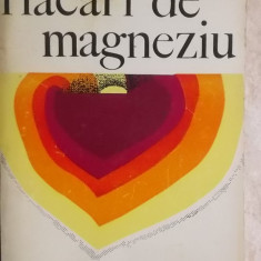 Mesterhazi Lajos - Flacari de magneziu, 1970