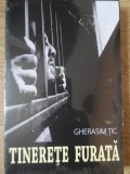 Tinerete Furata - Gherasim Tic, Editura Paul Editions, 2010, Roman, 392 Pagini