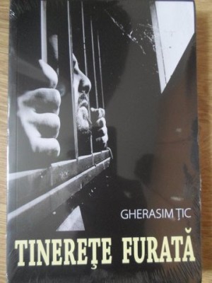 TINERETE FURATA-GHERASIM TIC-234532 foto