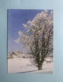Calendar 1979 editura sport turism