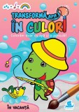Transformă apa &icirc;n culori. &Icirc;n vacanță - ***