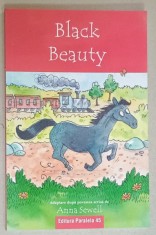 BLACK BEAUTY , adaptare de JO FRANKLIN , ilustratii de JOELLE DREIDEMY , 2022 foto