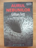 GILLIAN TETT - AURUL NEBUNILOR - 2011