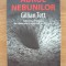 GILLIAN TETT - AURUL NEBUNILOR - 2011