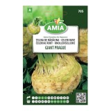 Seminte legume Amia A, telina radacina Giant Prague