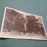 CARTE POSTALA BRAILA-LACUL SARAT-VEDERE DIN PARC CIRCULATA
