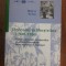 Deceniul prabusirilor 1940-1950 - Mihai Pelin / R4P3S