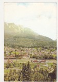 Bnk cp Busteni - Vedere spre Bucegi - circulata, Printata