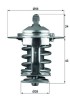 MAHLE TX 70 82 termostat,lichid racire