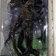 Figurina Warrior Alien Xenomorph 18 cm NECA 2