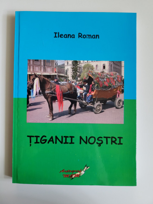 Ileana Roman, Tiganii nostrii (istoria rromilor din Romania), Severin - Craiova