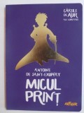 MICUL PRINT de ANTOINE DE SAINT EXUPERY , 2015
