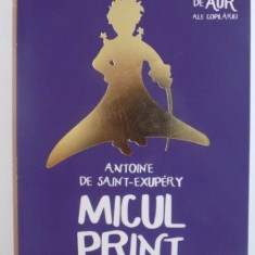 MICUL PRINT de ANTOINE DE SAINT EXUPERY , 2015