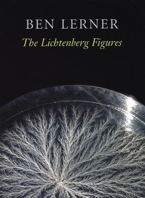 The Lichtenberg Figures foto