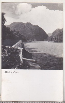 bnk cp Oltul la Cozia - Vedere - circulata foto
