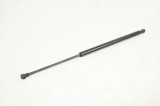 Amortizor haion st&acirc;nga LEXUS GS III GRS19_, UZS19_, URS19_ 2007 OEM: 53450-0W071 | 3232418