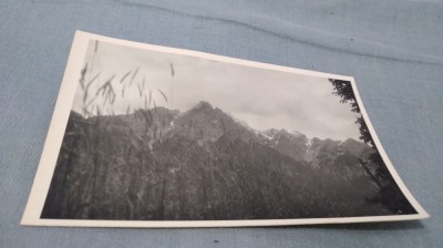 CARTE POSTALA PEISAJ NECIRCULATA foto