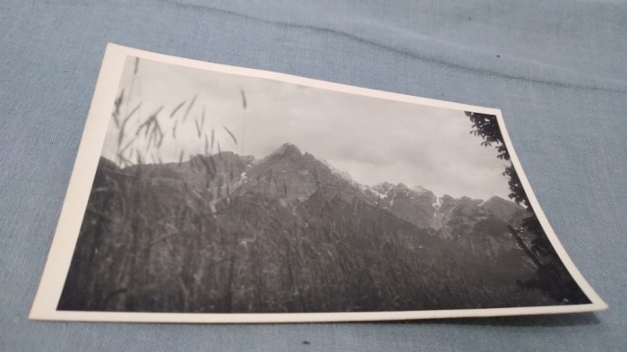 CARTE POSTALA PEISAJ NECIRCULATA