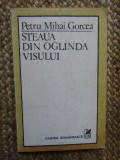 Steaua din oglinda visului - PETRU MIHAI GORCEA