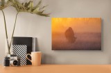 Tablou Canvas, "Bizon &icirc;n lumina dimineții mistice", Bizon, Răsărit, Ceață, Pajiște, Serenitate, Siluetă, Lumină, Natură, Dimineață, Peisaj, 39 x 26 cm