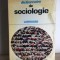 Joseph Sumpf, Michel Hugues - Dictionnaire de Sociologie