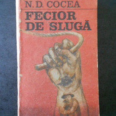 N. D. COCEA - FECIOR DE SLUGA