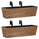 Gossi jardiniere, 2 buc., zambila de apa