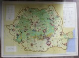REPUBLIQUE SOCIALISTE DE ROUMANIE , CARTE ECONOMIQUE , ECHELLE 1 : 1.000.000 , 1966