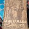 Jean Giono - Sa-mi ramana bucuria