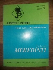 Judetul Mehedinti- Vasile Cucu, Ana Popova-Cucu