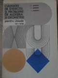 CULEGERE DE EXERCITII SI PROBLEME DE ALGEBRA SI GEOMETRIE PENTRU CLASELE VI-VIII-A. ARIMESCU, V. ARIMESCU, -348618
