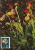 Romania, flora alpina, carte maxima