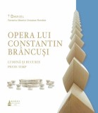 Opera lui Constantin Brancusi. Lumina si bucurie peste timp