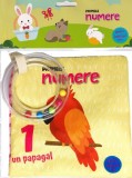 Primele numere - material textil - Editura Flamingo Gd