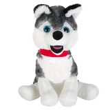 Catel de plus Husky, 45 cm, Alb/Gri, General