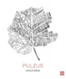 Pulzus - L&aacute;szl&oacute; No&eacute;mi