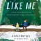 Like Me: A Story about Disability and Discovering God&#039;s Image in Every Person