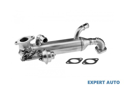 Radiator recirculare gaze Volkswagen Transporter T5 (2003-2015) #1 foto