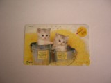 B11 68 - Carduri si cartele telefonice - Japonia - Pisici - piesa de colectie