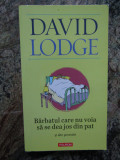 Barbatul care nu voia sa se dea jos din pat si alte povestiri - David Lodge