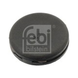 Febi Bilstein buson, vas expansiune