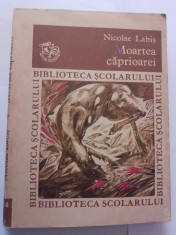 Nicolae labis-moartea caprioarei