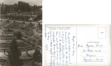 *Romania, Timisoara, Vedere din parc, carte posta ilustrata necirculata