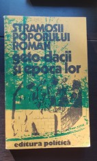 Strămoșii poporului rom&acirc;n. Geto-dacii și epoca lor - Cristian Popișteanu (coord.)