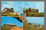 CPIB 17238 CARTE POSTALA - MUNTII BUCEGI, MOZAIC