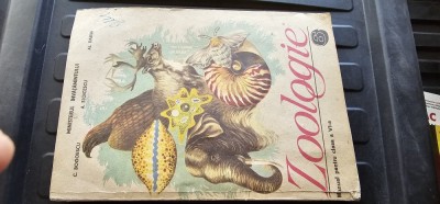 ZOOLOGIE CLASA A VI A BOGOESCU DABIJA STOICESCU foto