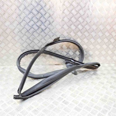 Garnitura ușă dreapta spate TESLA MODEL 3 2018 OEM: 1090510-99-E foto