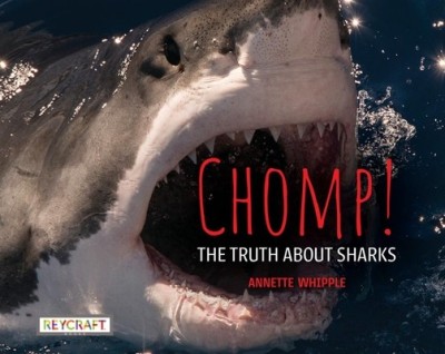 Chomp! the Truth about Sharks foto