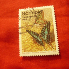 Serie 1 valoare Namibia 1994 - Fluture , stampilat